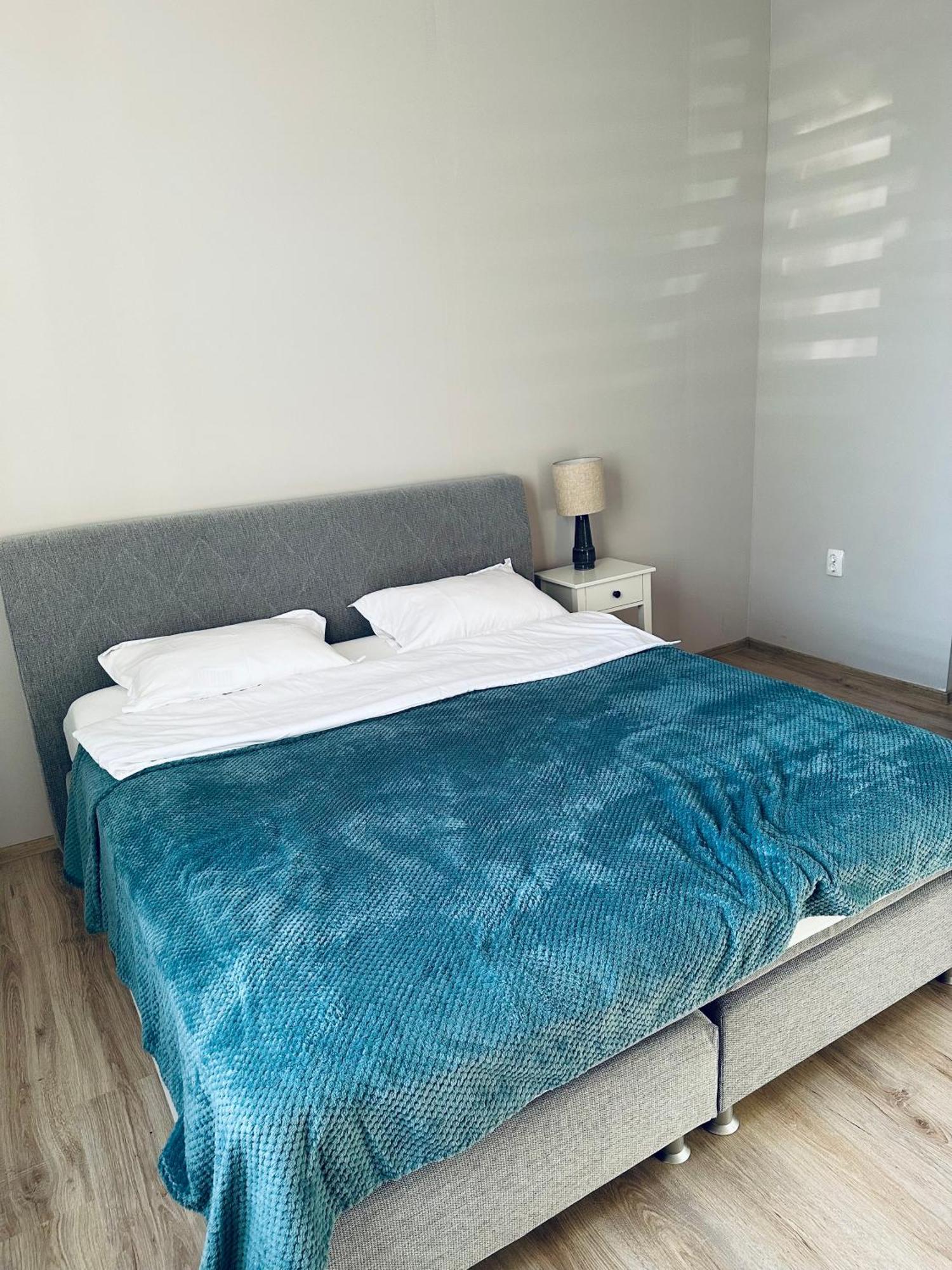 Serbian House Bed & Breakfast Timisoara Exterior photo
